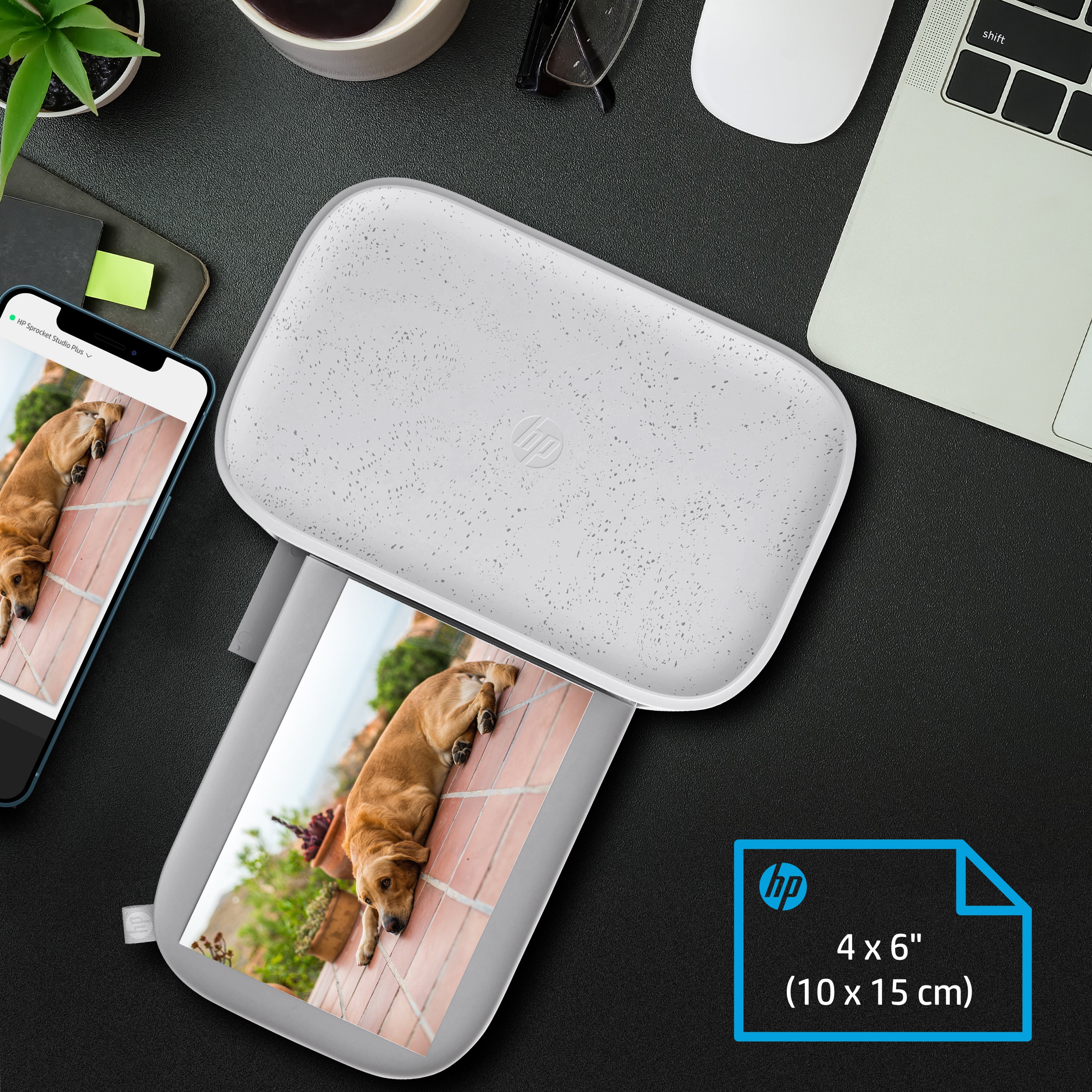 HP Sprocket Studio Plus Photo Printer - Prints 4x6” Photos from Your iOS & Android Device - Image 5